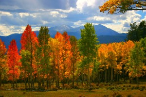 fall-colors