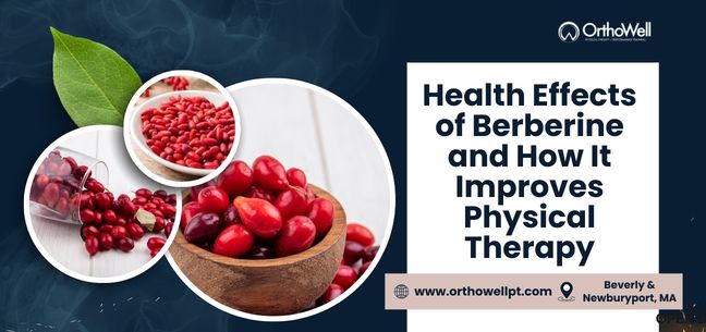 Health Effects of Berberine and How It Improves Physical Therapy