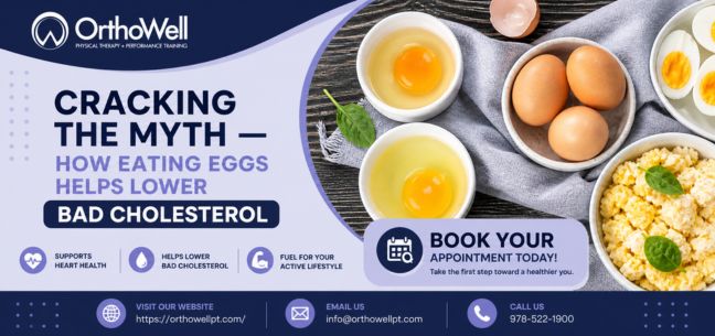 Cracking the Myth – How Eating Eggs Helps Lower Bad Cholesterol